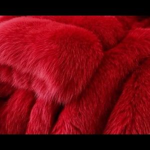 Meet your Posher, Kay